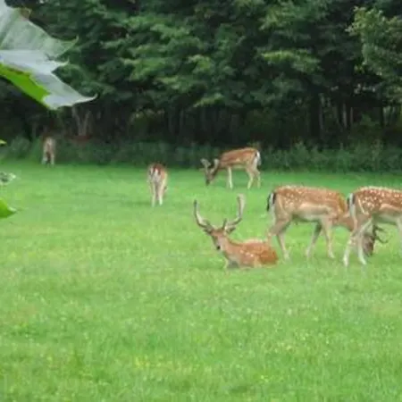't Zandhuisje Apartmán Zandvoort