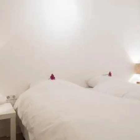 Apartment 't Zandhuisje *